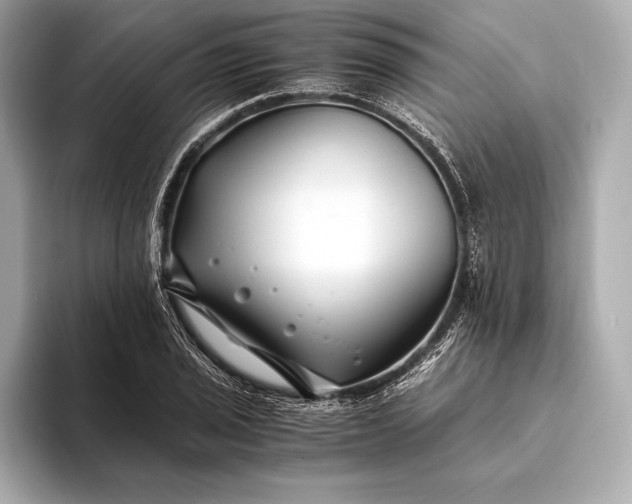 X0000094081029200711021509