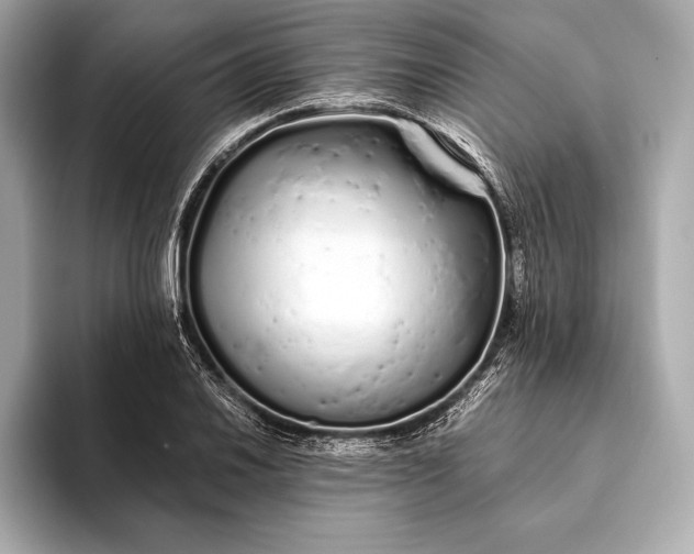 X0000094081030200711021509