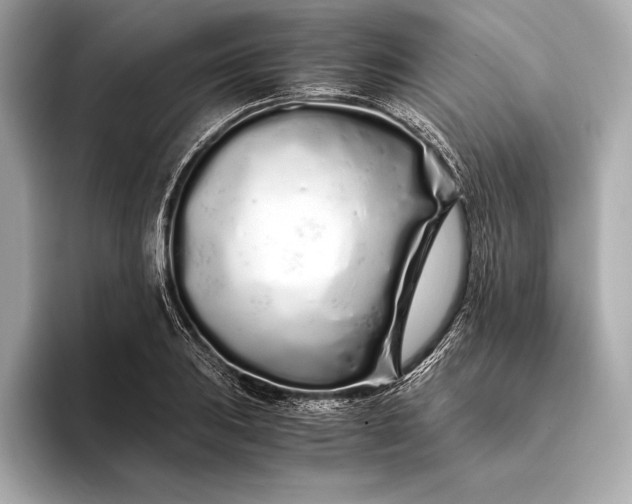 X0000094081031200711021509