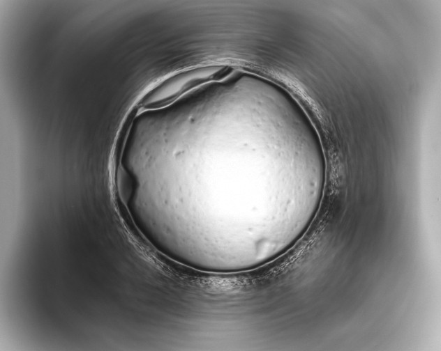 X0000094081032200711021509