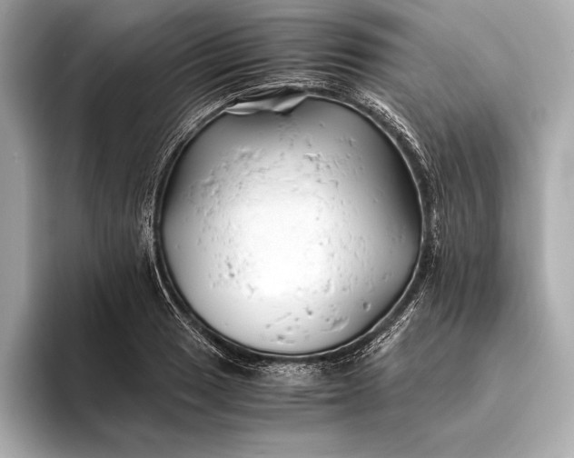 X0000094081033200711021509