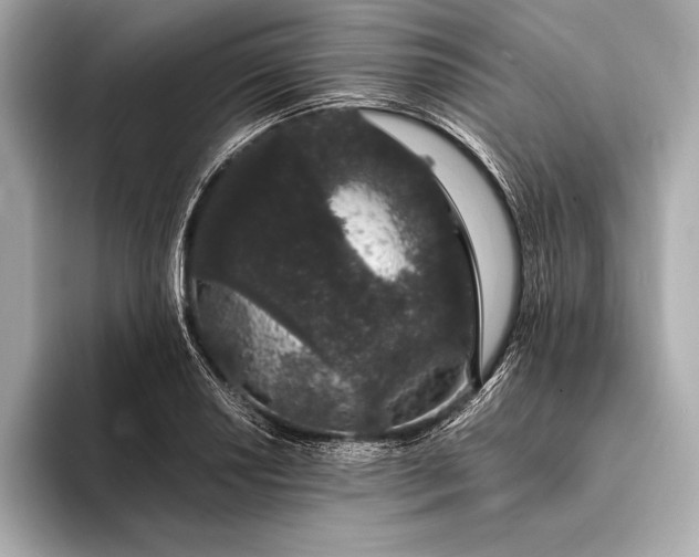 X0000094081034200711021509