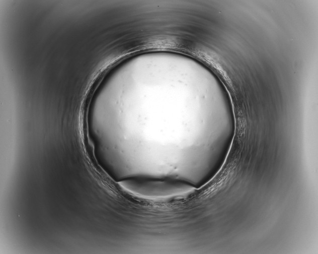 X0000094081035200711021509