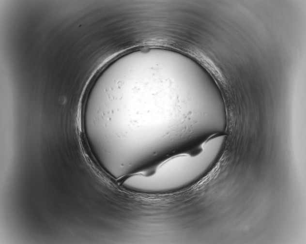 X0000094081036200711021509