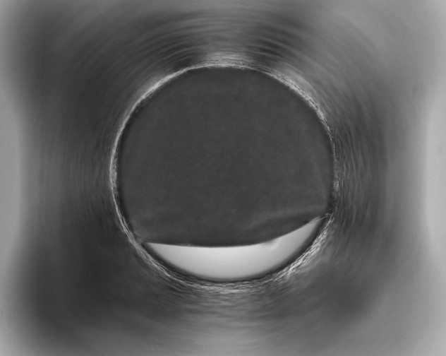 X0000094081037200711021509