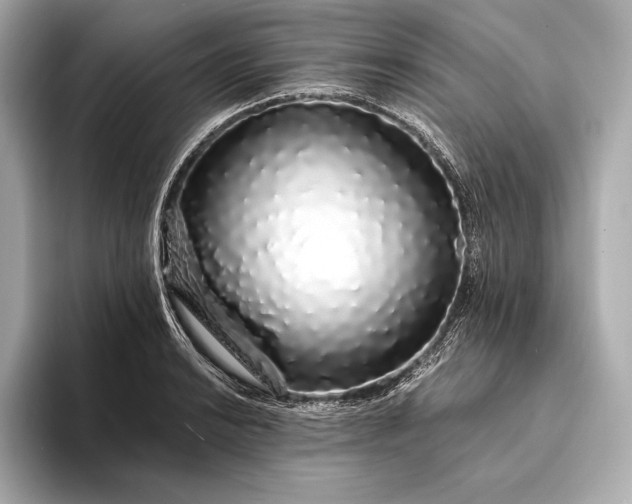 X0000094081038200711021509