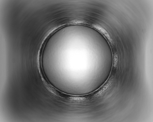 X0000094081039200711021509