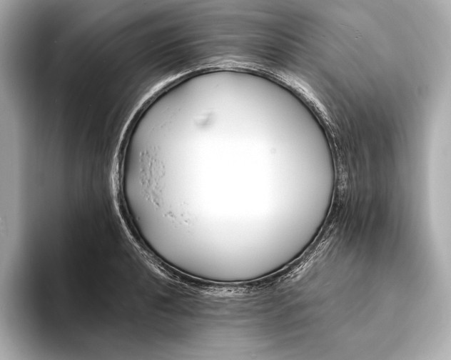 X0000094081040200711021509