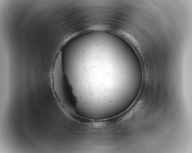 X0000094081041200711021509