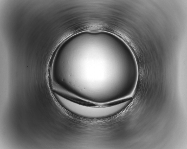 X0000094081042200711021509