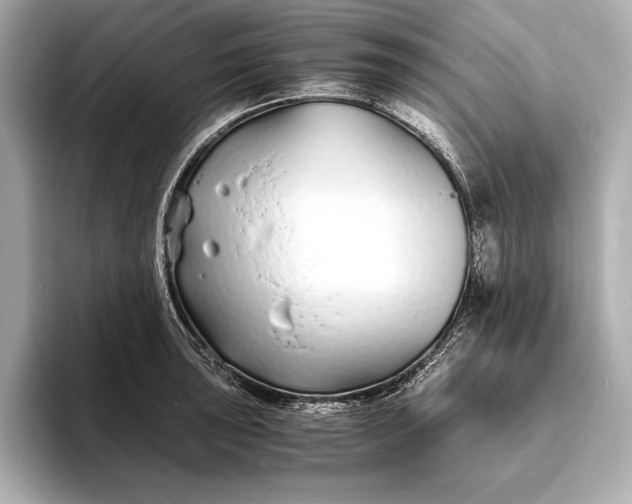 X0000094081043200711021509