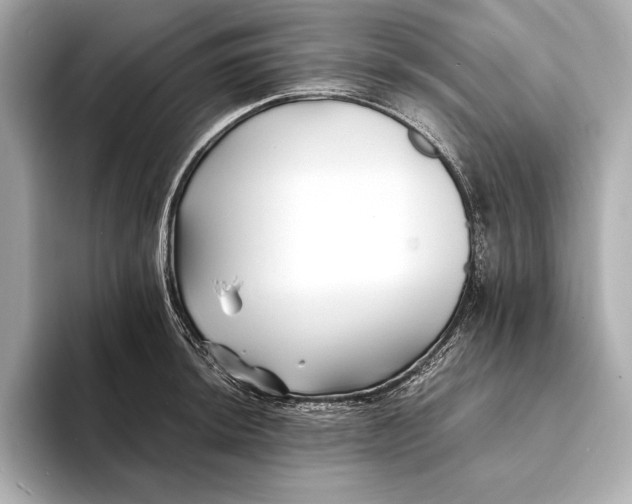 X0000094081044200711021509