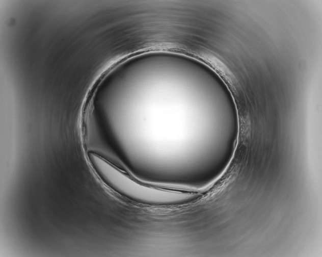 X0000094081046200711021510