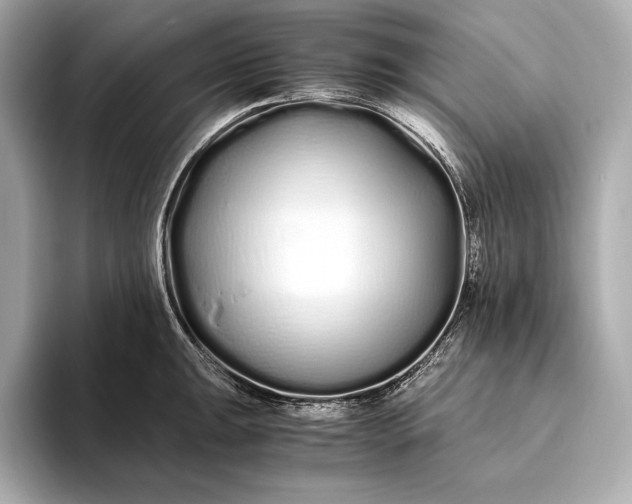 X0000094081047200711021510