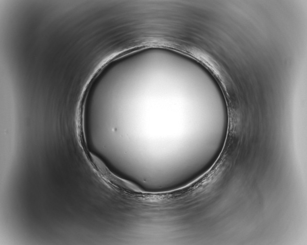 X0000094081048200711021510