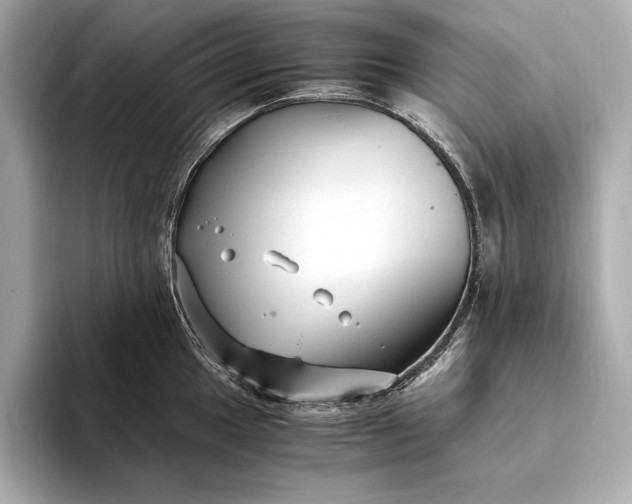 X0000094081049200711021510