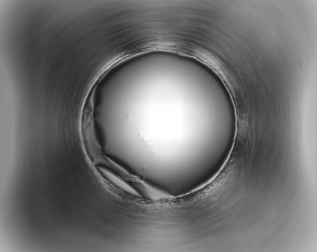 X0000094081050200711021510