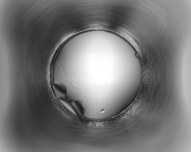 X0000094081051200711021510