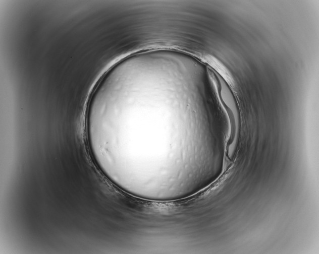 X0000094081052200711021510