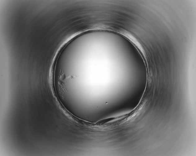 X0000094081053200711021510