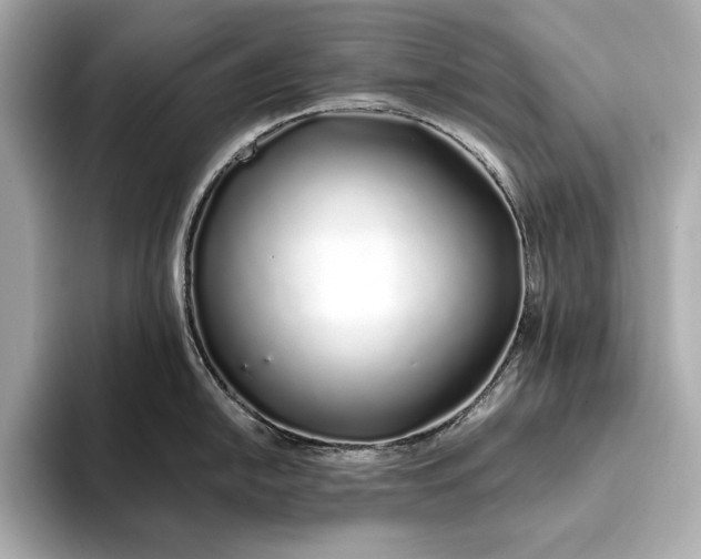 X0000094081054200711021510