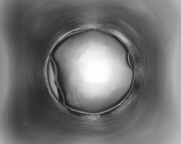 X0000094081055200711021510