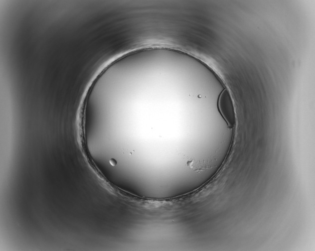 X0000094081056200711021510