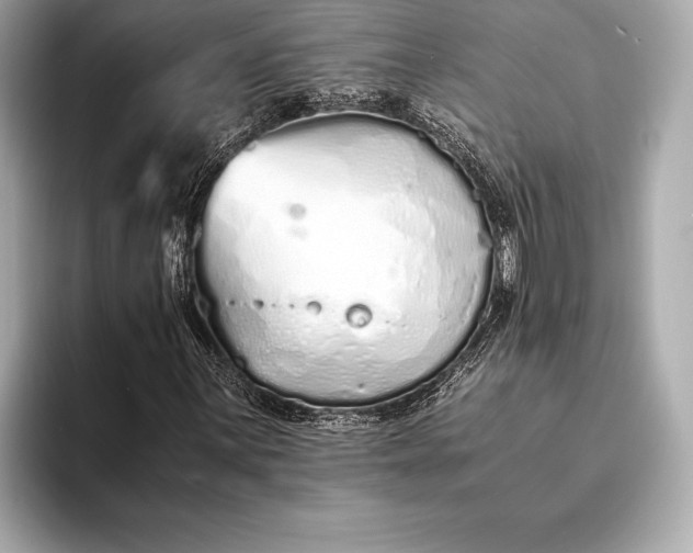 X0000094081059200711021509