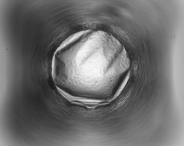 X0000094081060200711021509