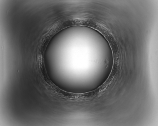 X0000094081061200711021509