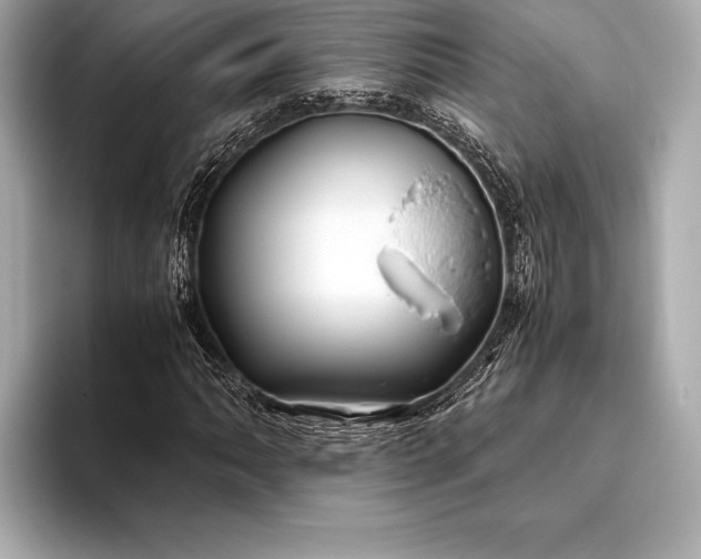 X0000094081062200711021509