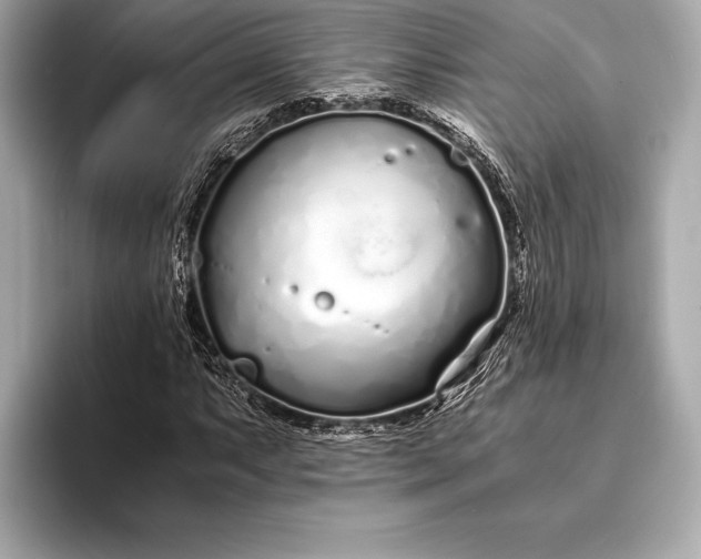 X0000094081063200711021509