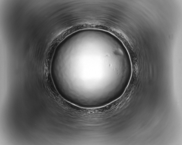 X0000094081064200711021509