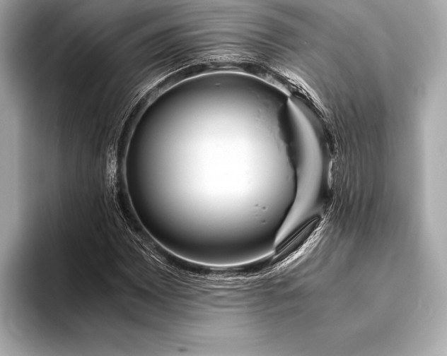 X0000094081065200711021509