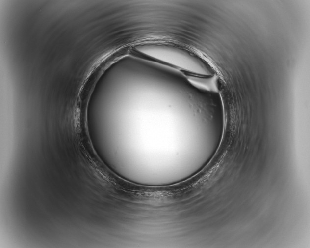 X0000094081066200711021509