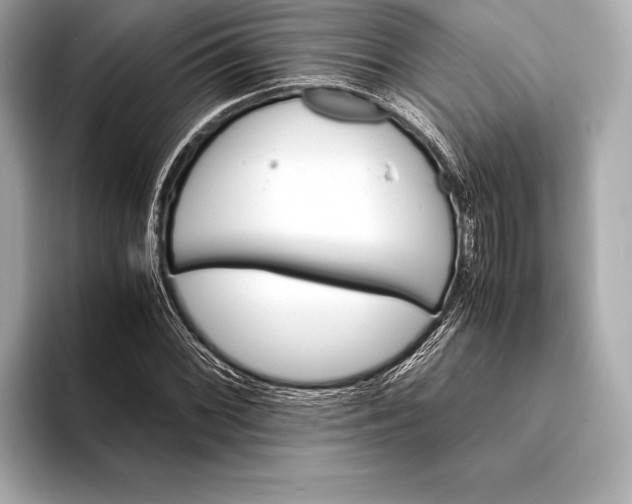 X0000094081068200711021509