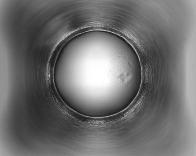 X0000094081070200711021509