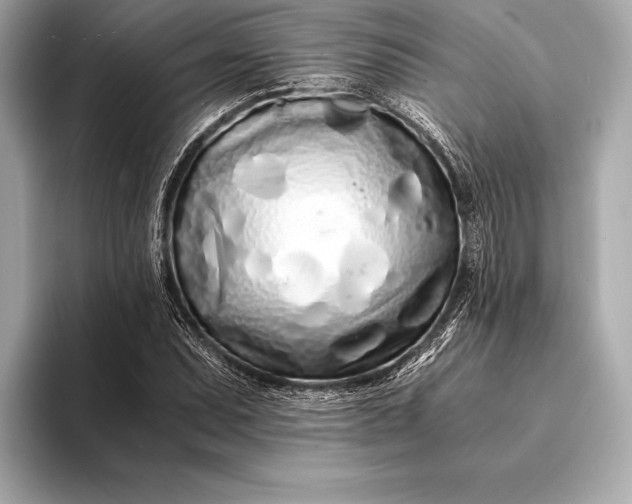 X0000094081071200711021509