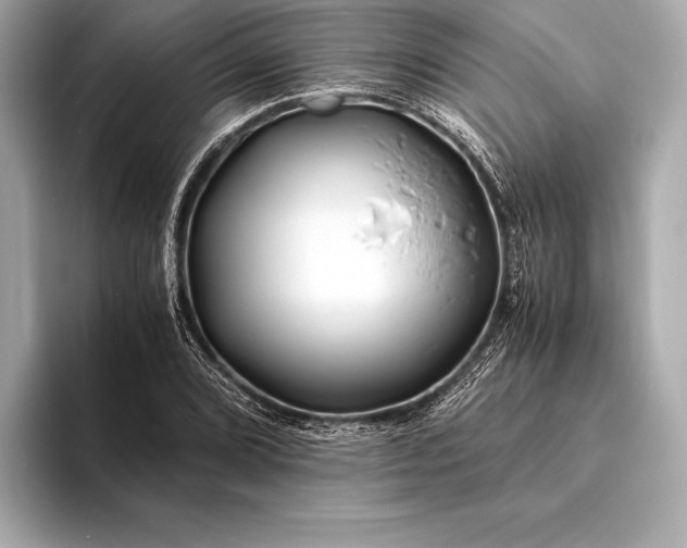 X0000094081072200711021509