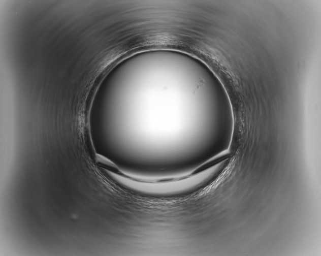 X0000094081073200711021509