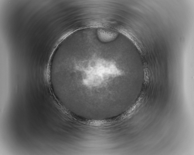 X0000094081074200711021509