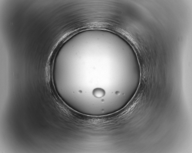 X0000094081075200711021509