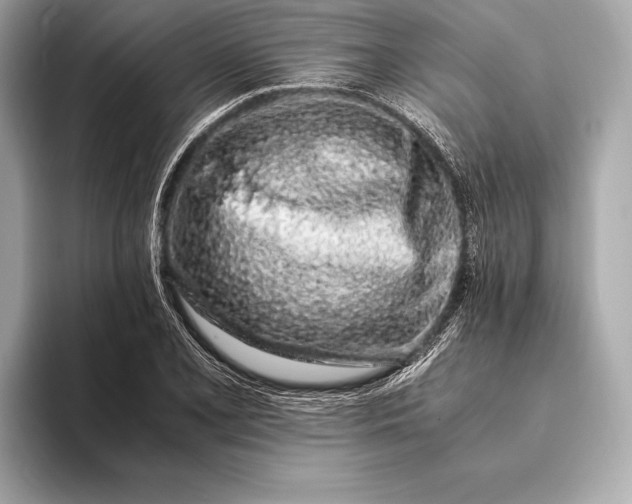 X0000094081077200711021509