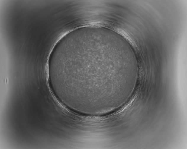 X0000094081079200711021509