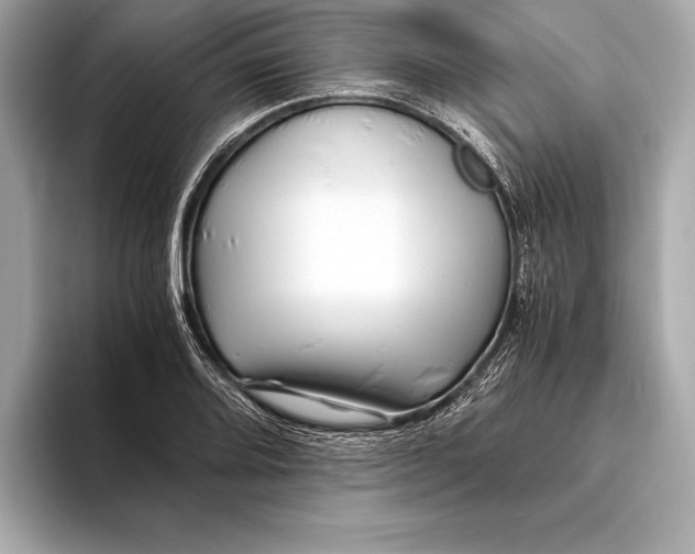 X0000094081080200711021509