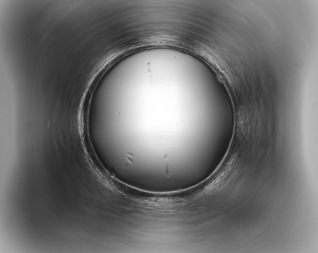 X0000094081082200711021509