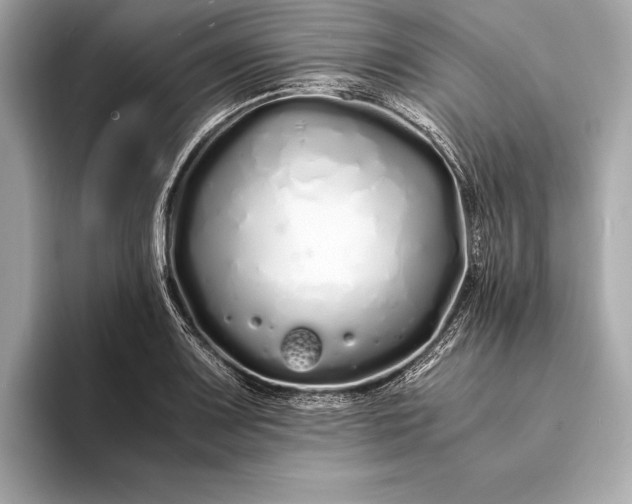 X0000094081083200711021509