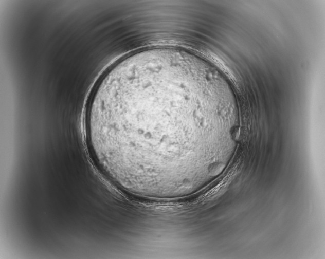 X0000094081084200711021509