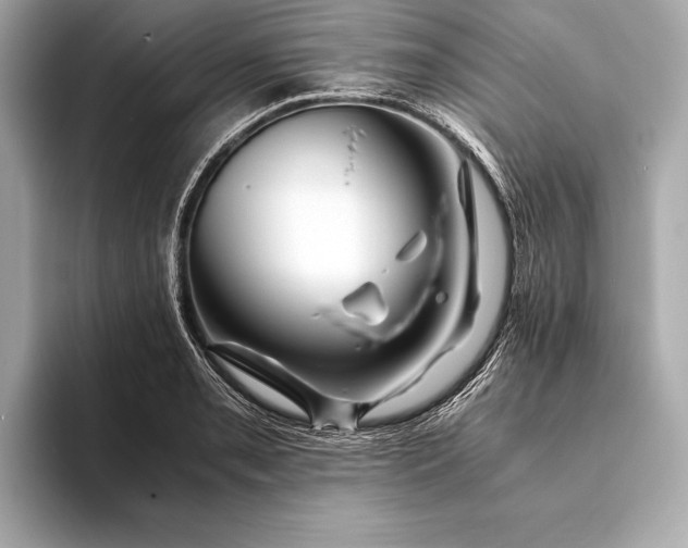 X0000094081085200711021509