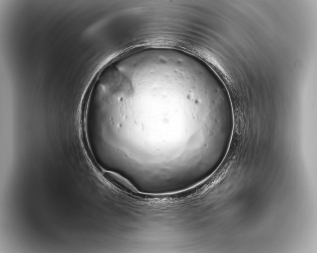 X0000094081087200711021509